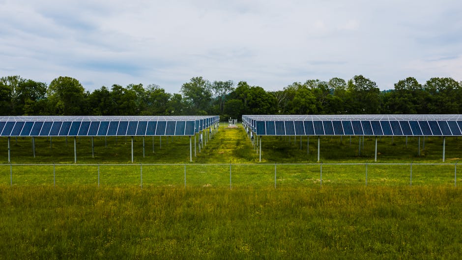 Perspective view rows of blue solar panels installed on green field in solar power station in summer countryside