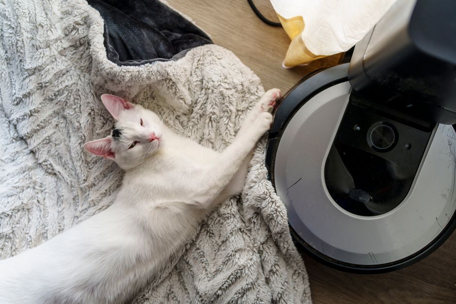 White cat peacefully resting by a vacuum on a cozy blanket.